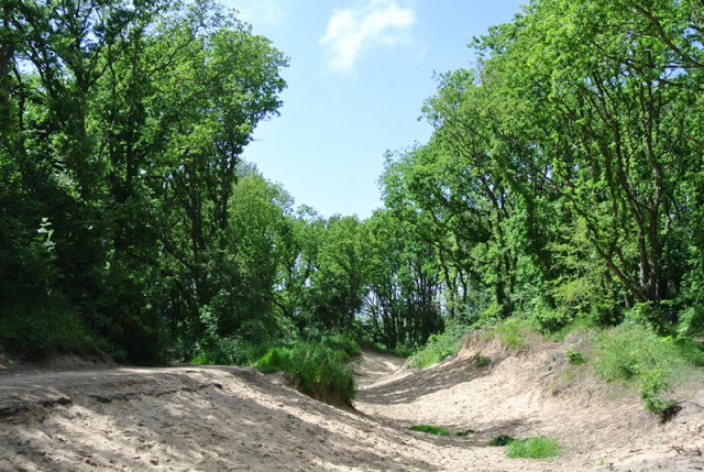 Zandpad door het bos bij de scoutingterreinen